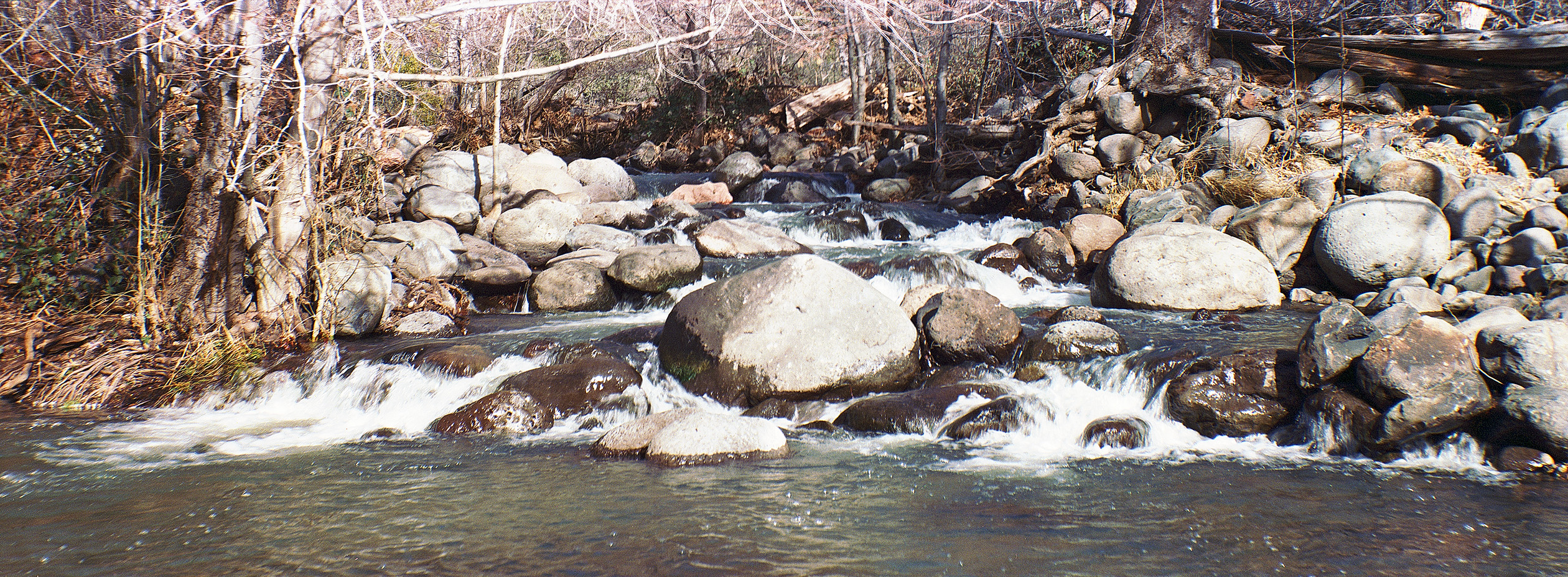 MF GrassHopper Rappids #1 .jpg