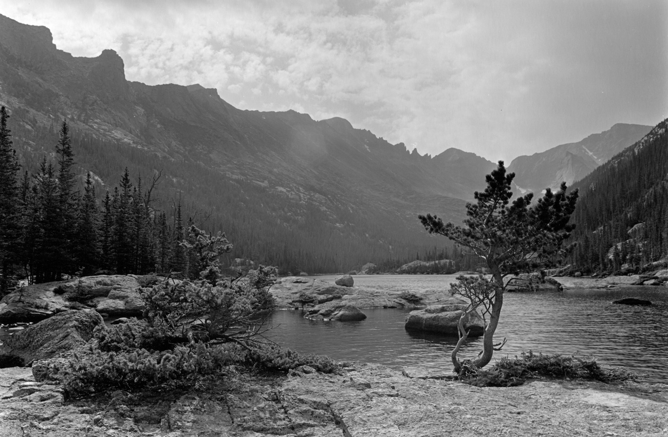 Mills Lake - Pine.jpg