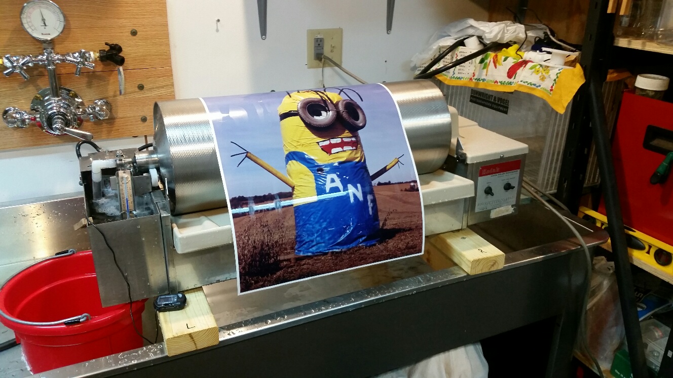 Minion 16x20.jpg