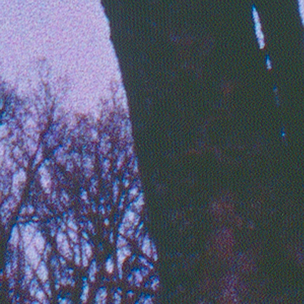 minolta5400_scan_noise_problem4.jpg