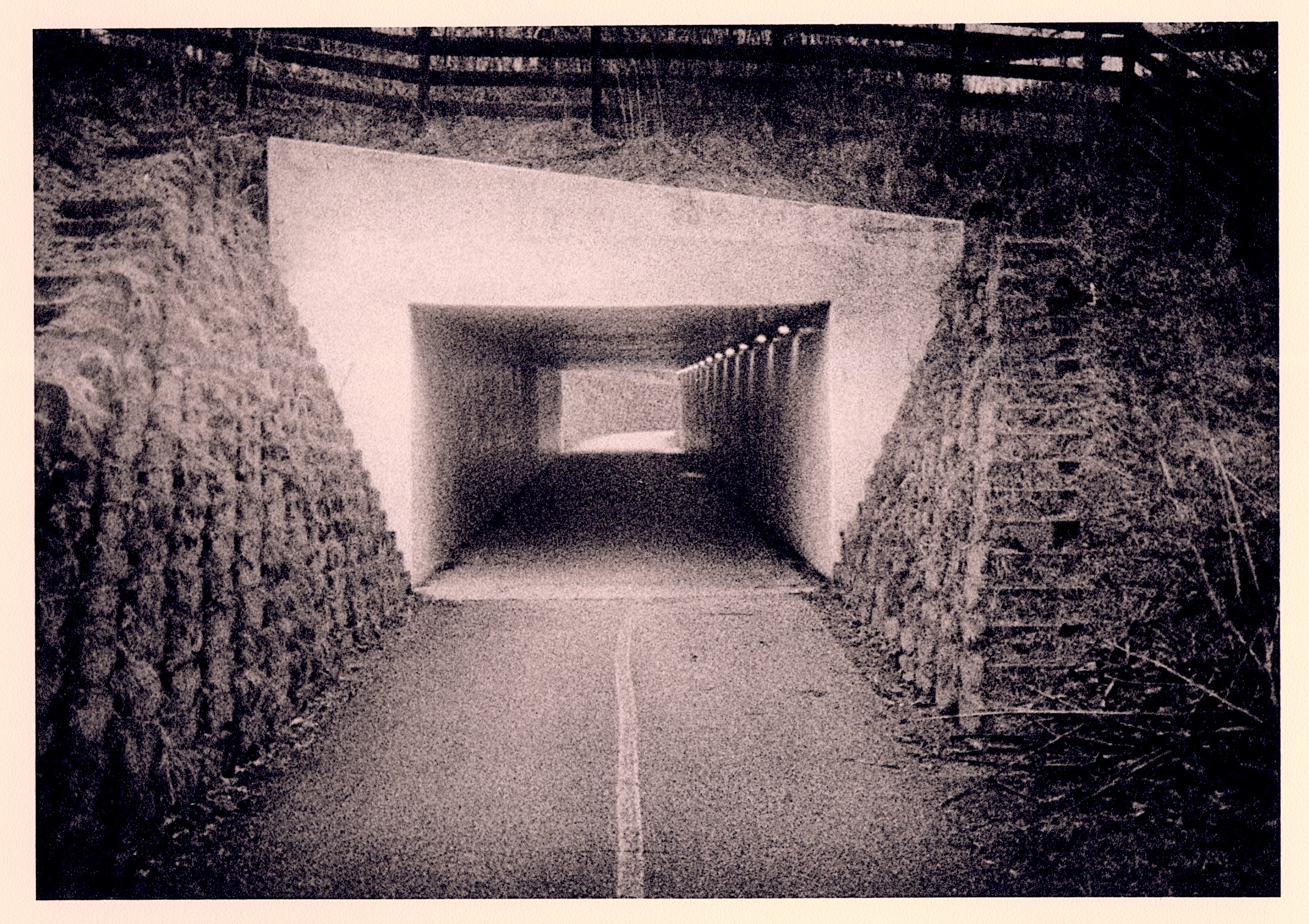 Minox hp5 lith.jpg