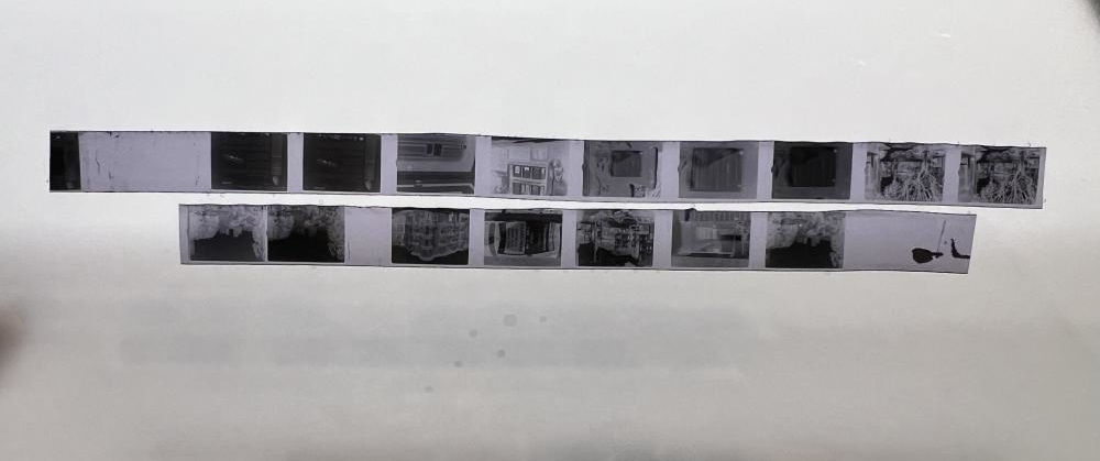 minox-negs.jpg