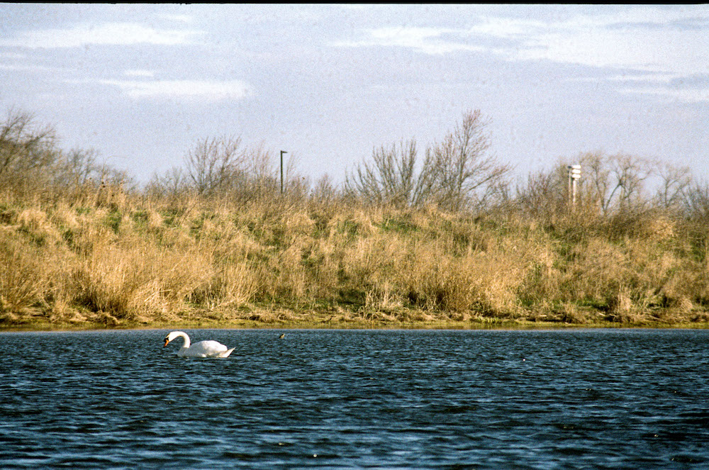 mmr010.jpg