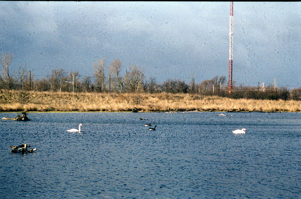 mmr014.jpg