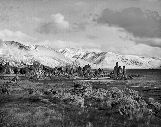Mono Lake, CA 8E.jpg