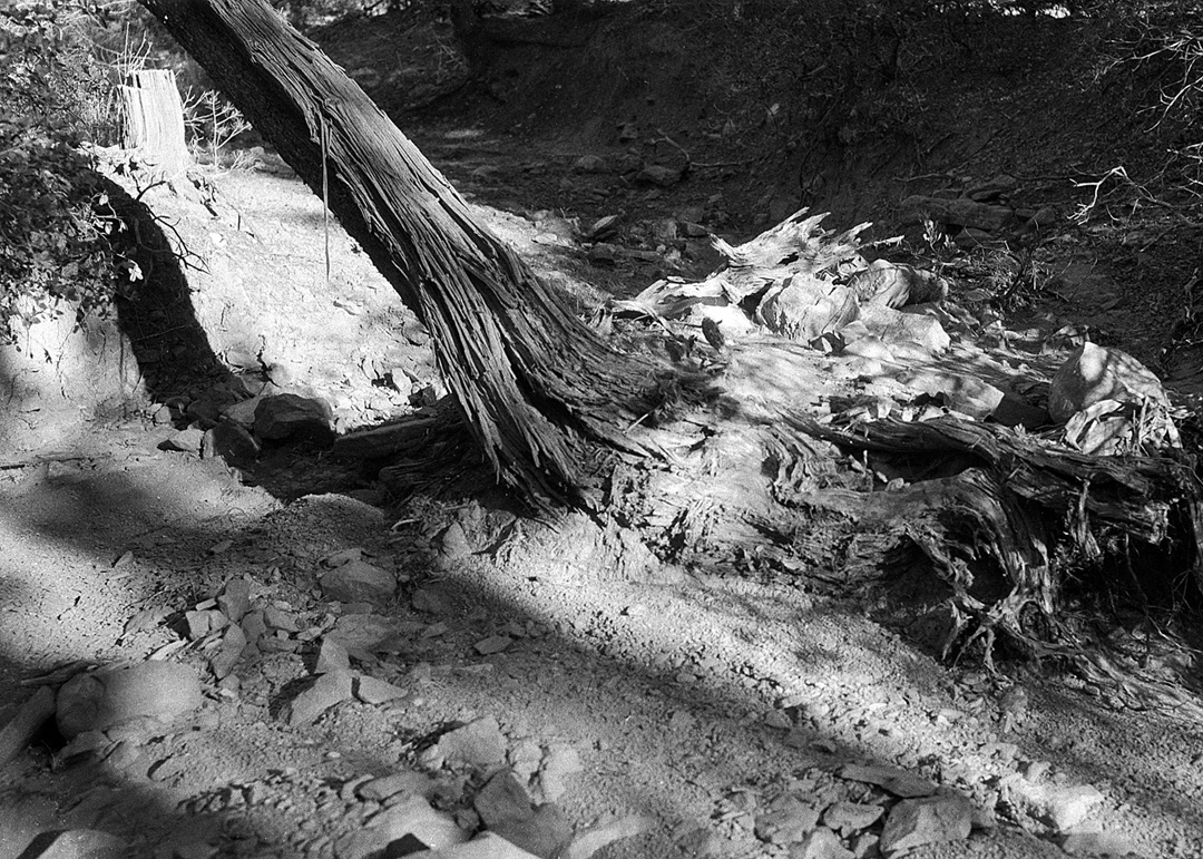 Morning 11-27-21 .jpg