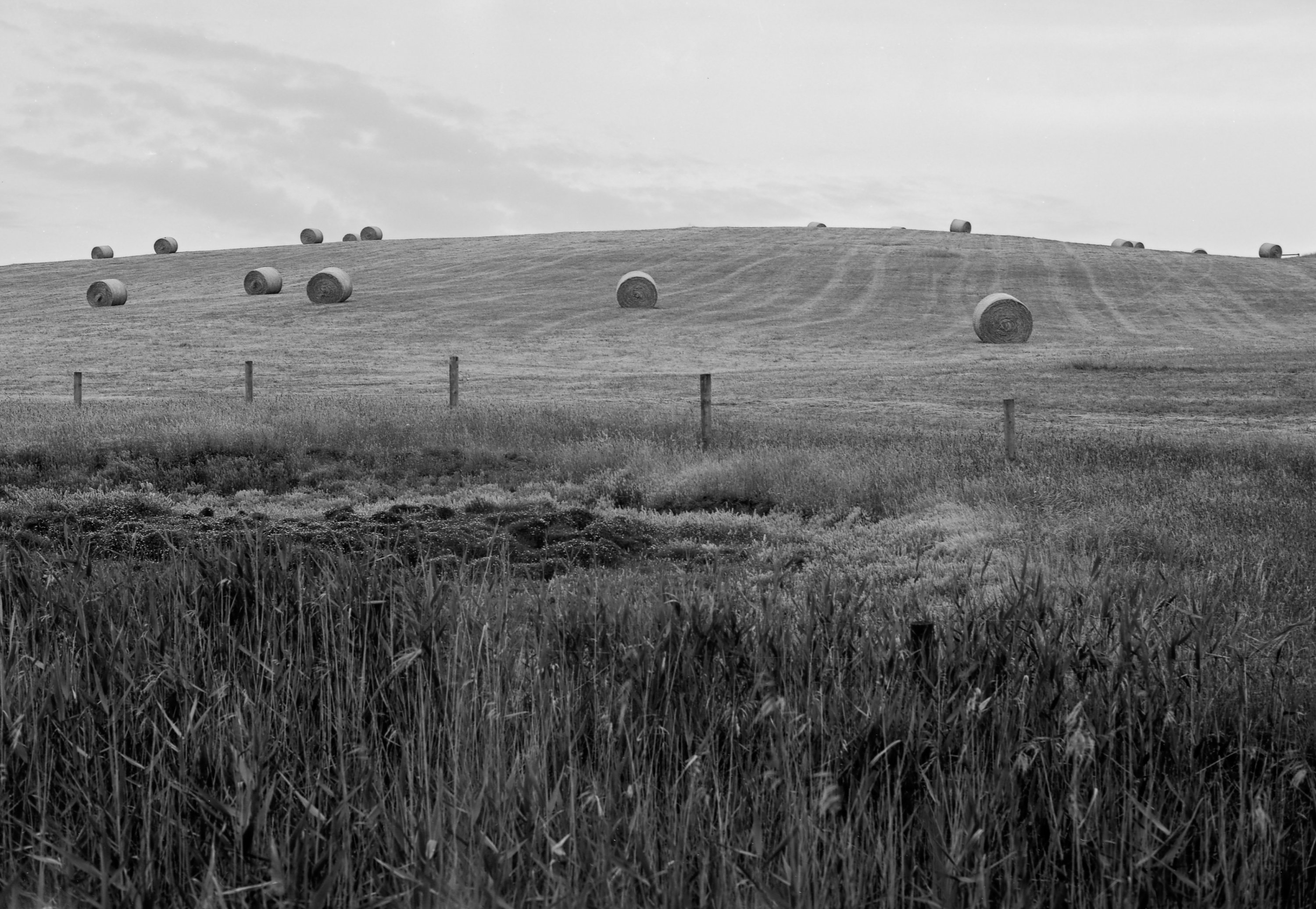 mornington#1014.jpg
