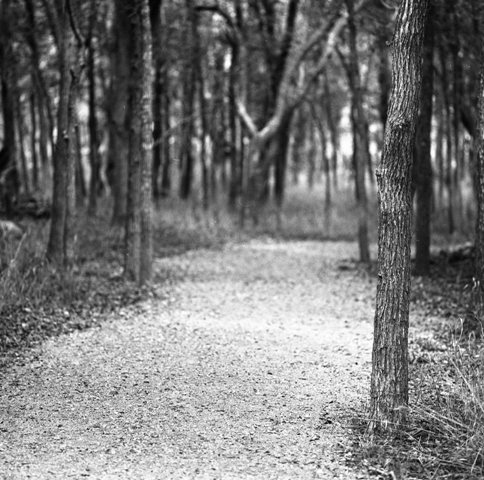 MSA March-April 2016 Example 1.jpg