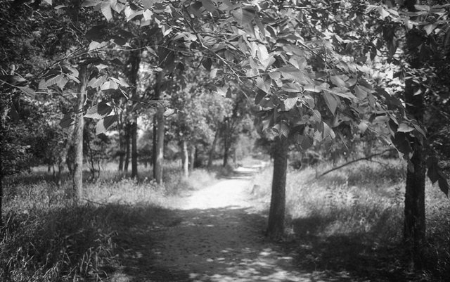 MSA March-April 2016 Example 2.jpg