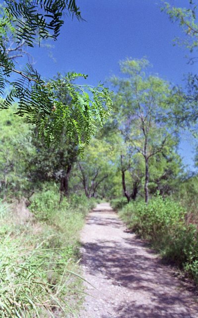 MSA March-April 2016 Example 3.jpg