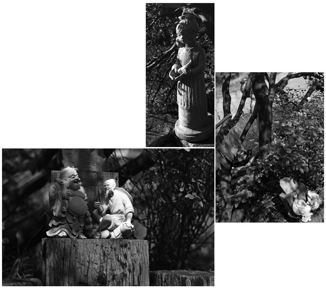 MSA.v1 - WhiteBckGrnd Triptych Resized   .jpg
