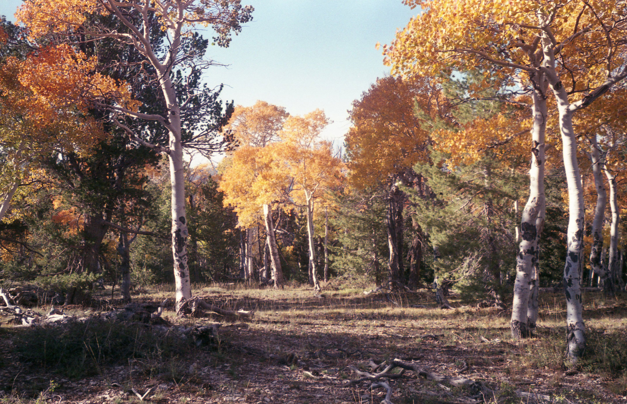 Mt-Moriah-2.jpg