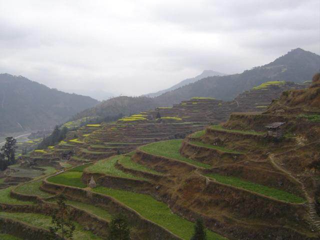 mx_DSC00850_terraced_fields.jpg