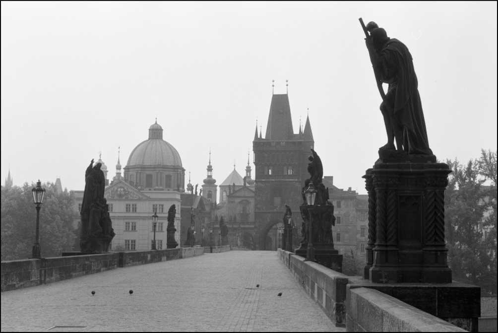 N006_1_1000px.jpg