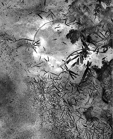 Negative Ice 1a.jpg
