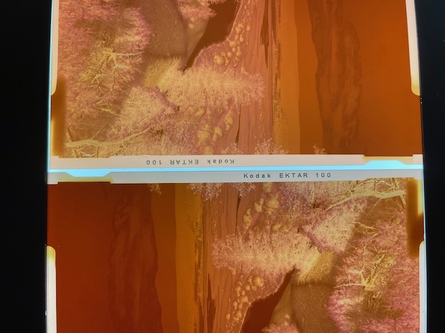 Negative.jpg