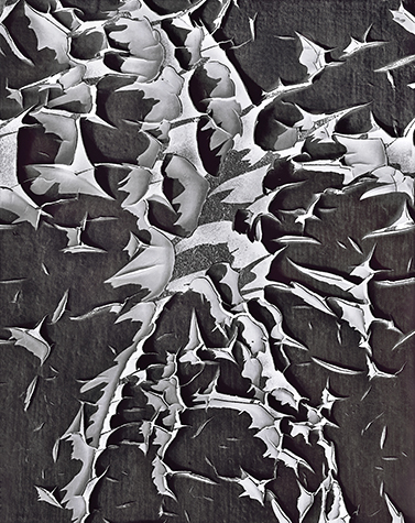 Negative Peeling Paint - Brilliant.jpg