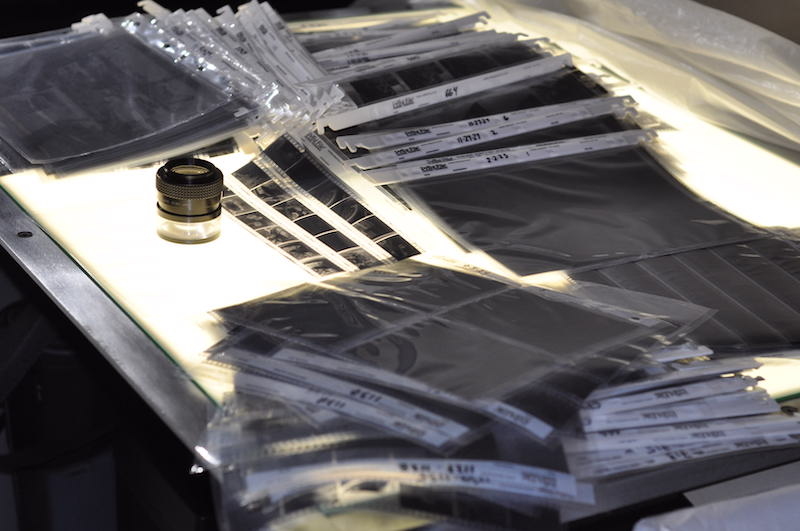 Negatives light table 2025.JPG