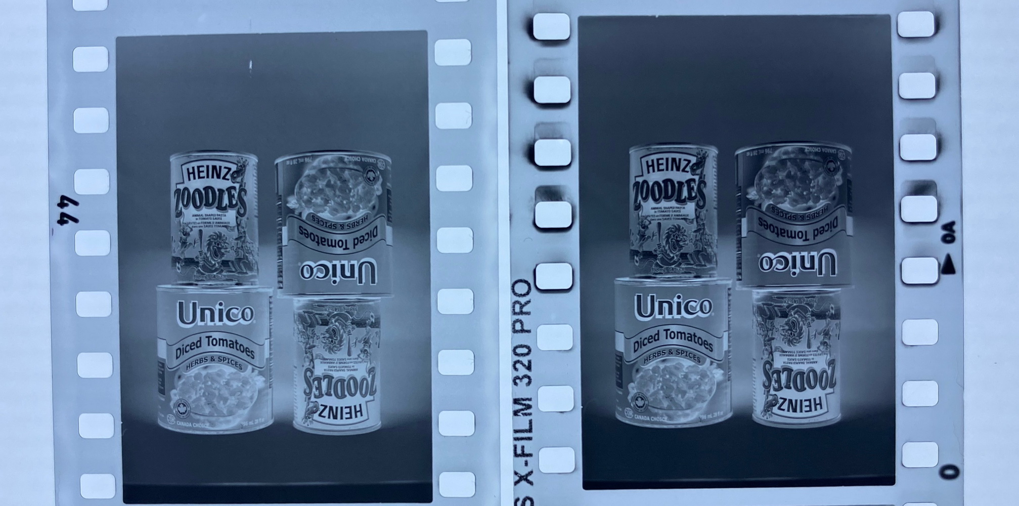negs.jpg