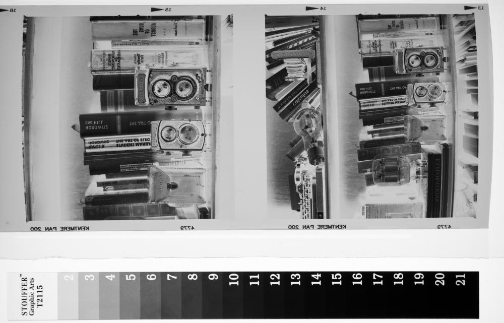 negs1.jpg