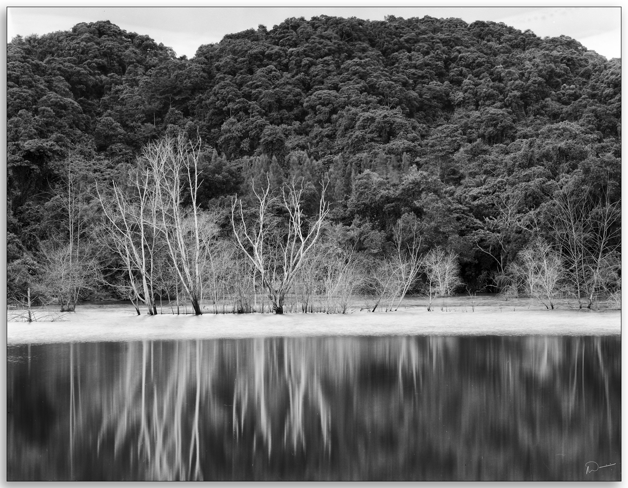 Neil's-Photography004.jpg