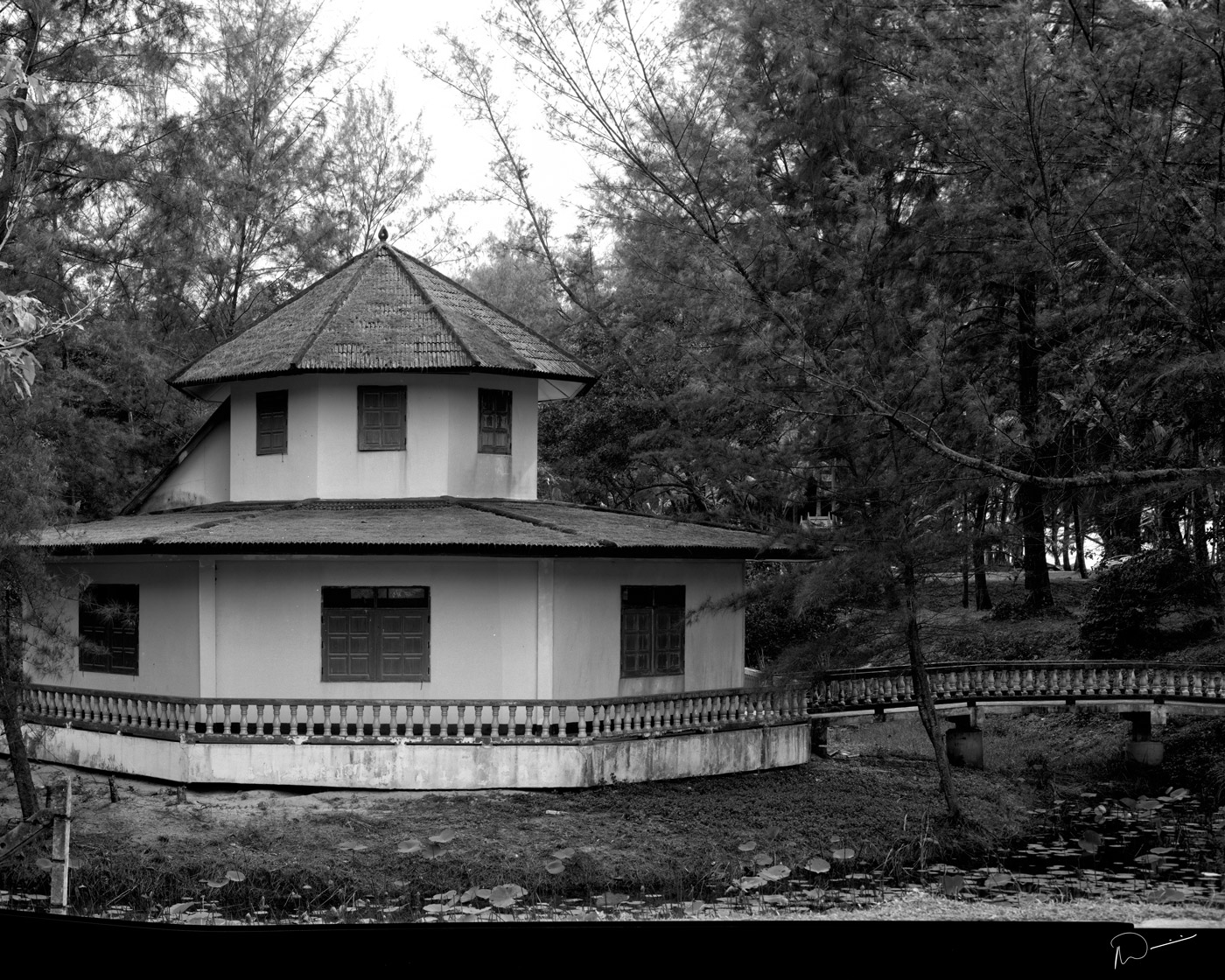 Neil's-Photography013.jpg