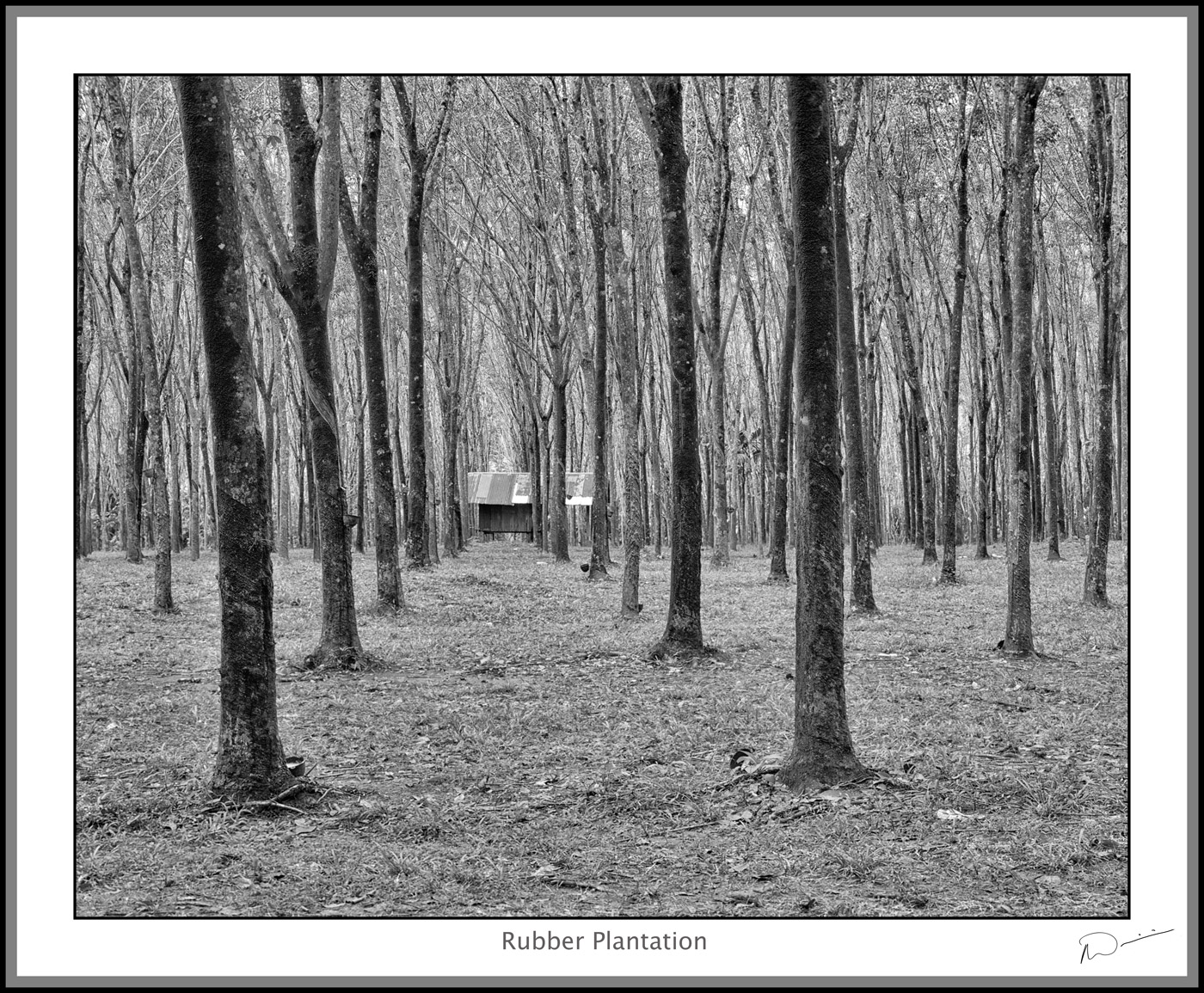 Neil's-Photography025.jpg