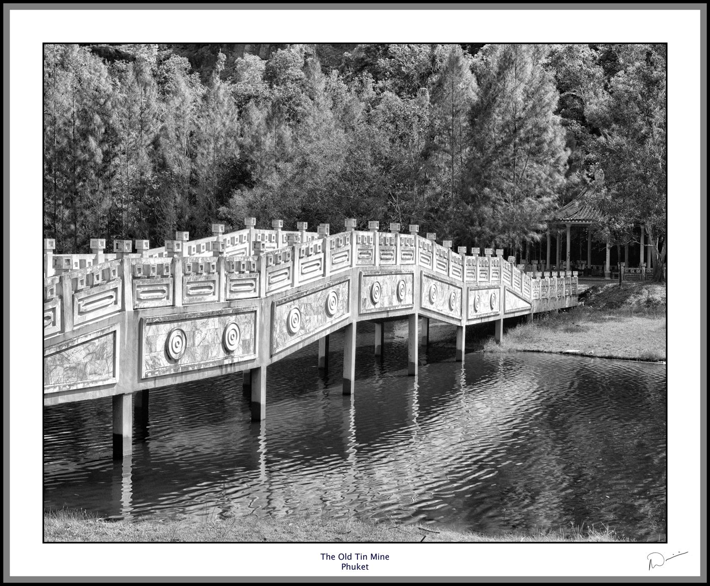 Neil's-Photography026.jpg