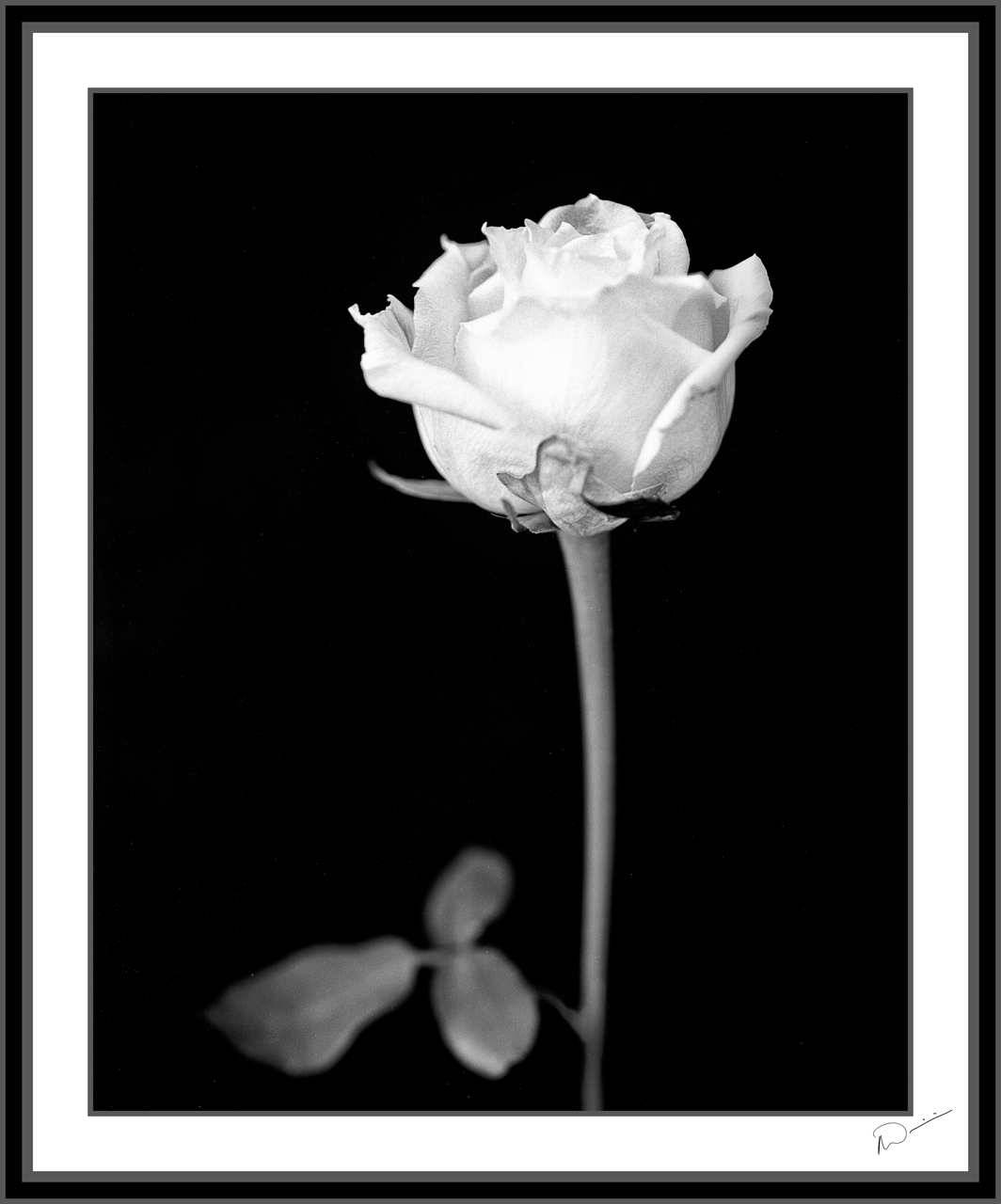 Neil's-Photography032.jpg