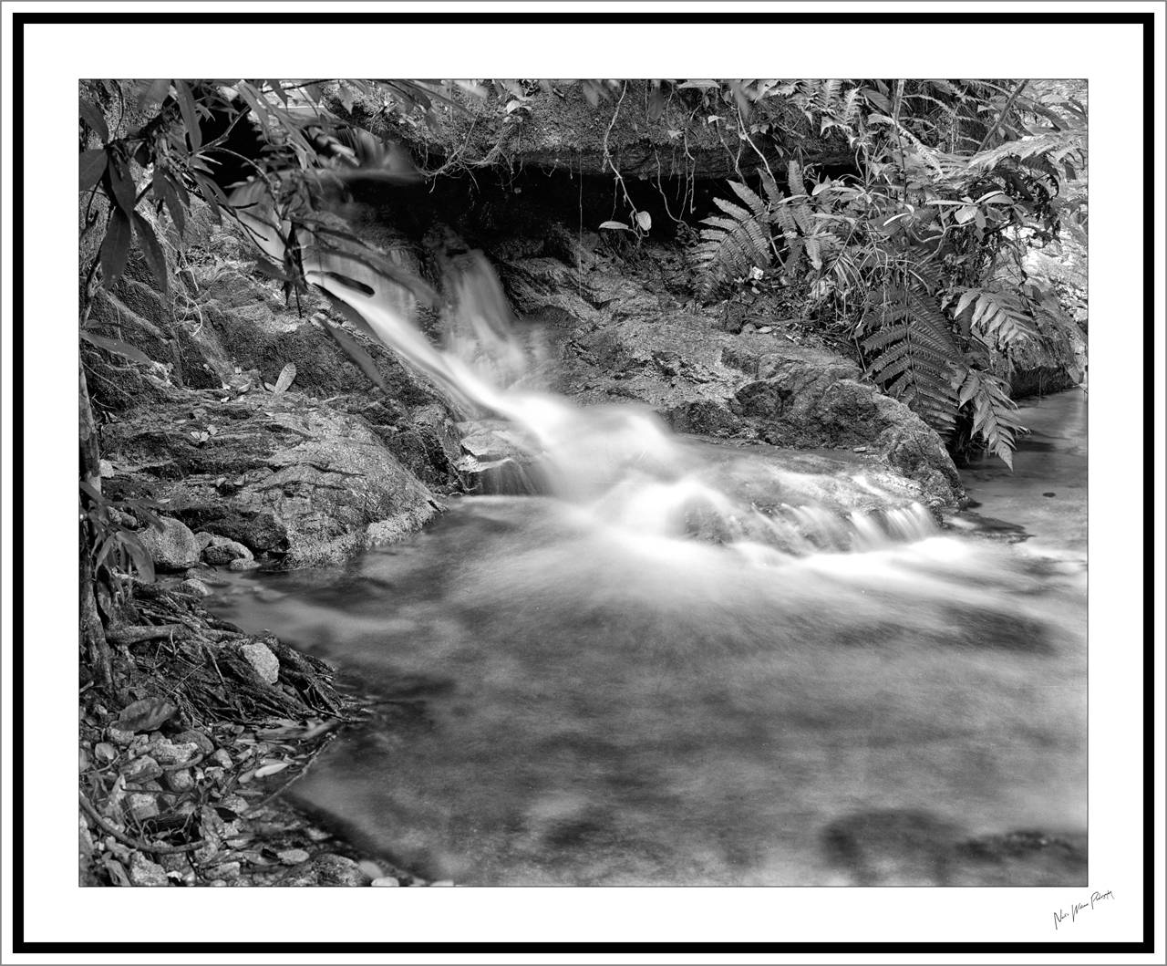 Neil's-Photography036.jpg