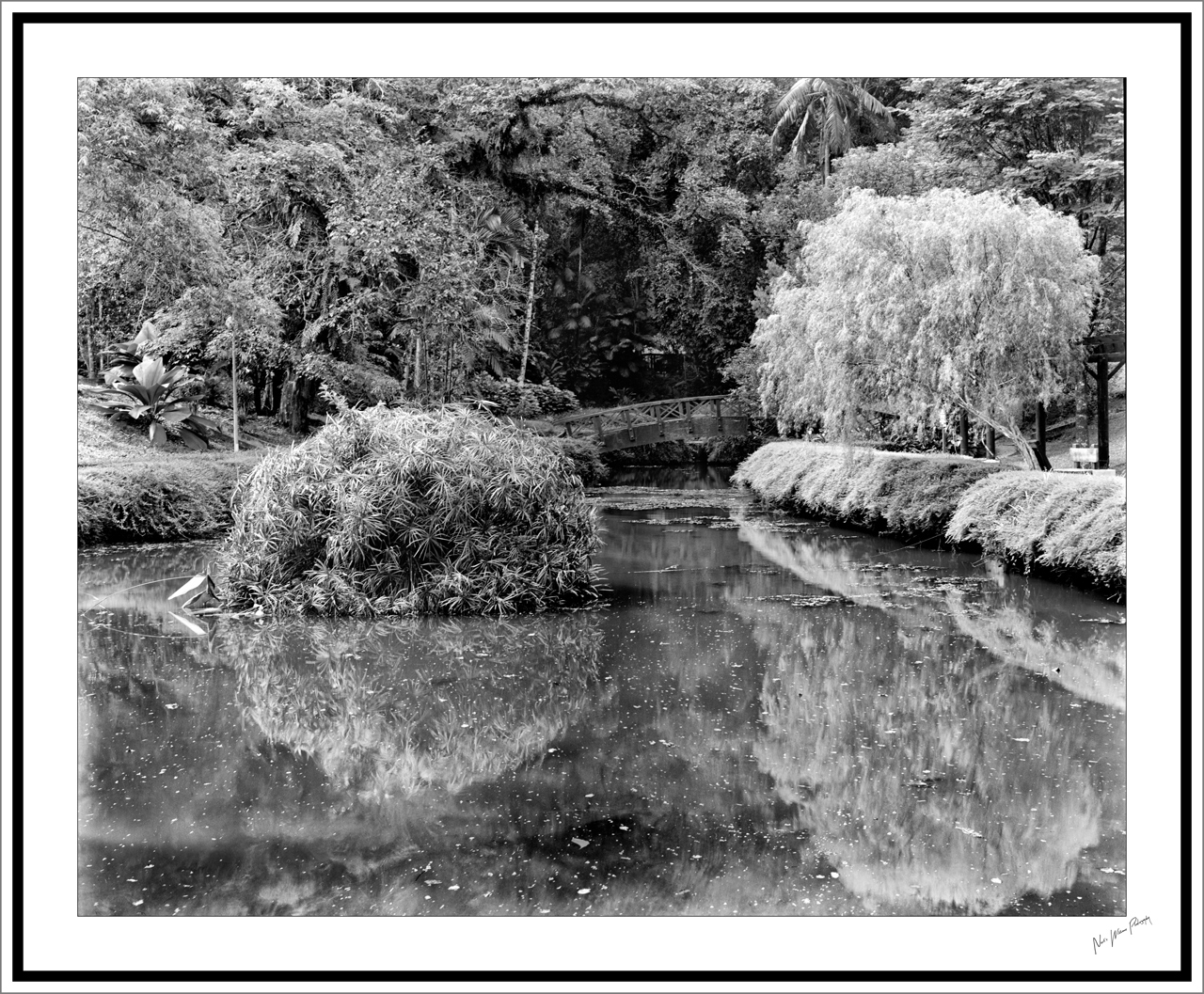 Neil's-Photography037.jpg