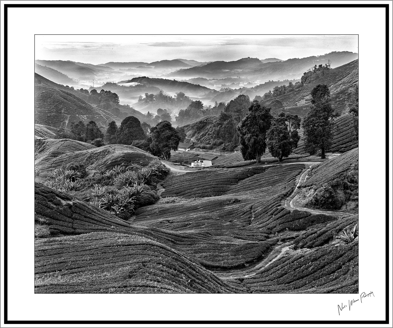 Neil's-Photography044.jpg