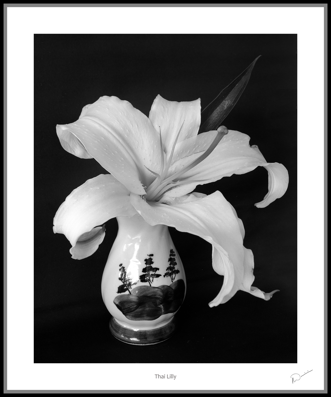 Neil's-Photography044.jpg
