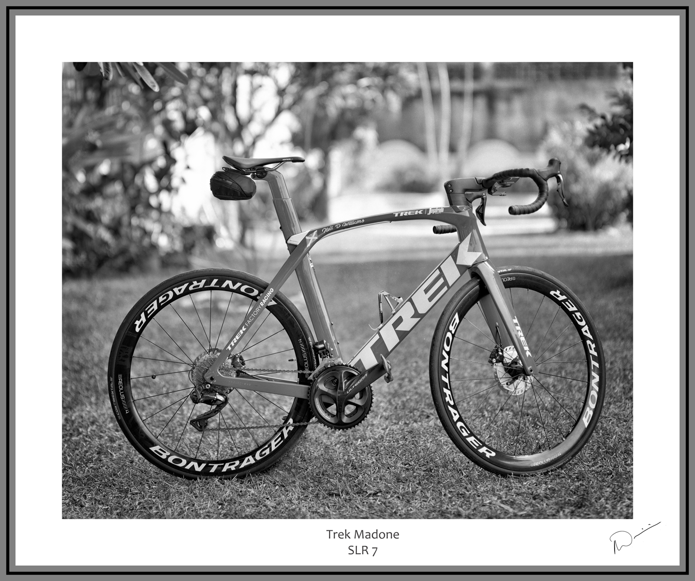 Neil's-Photography063.jpg