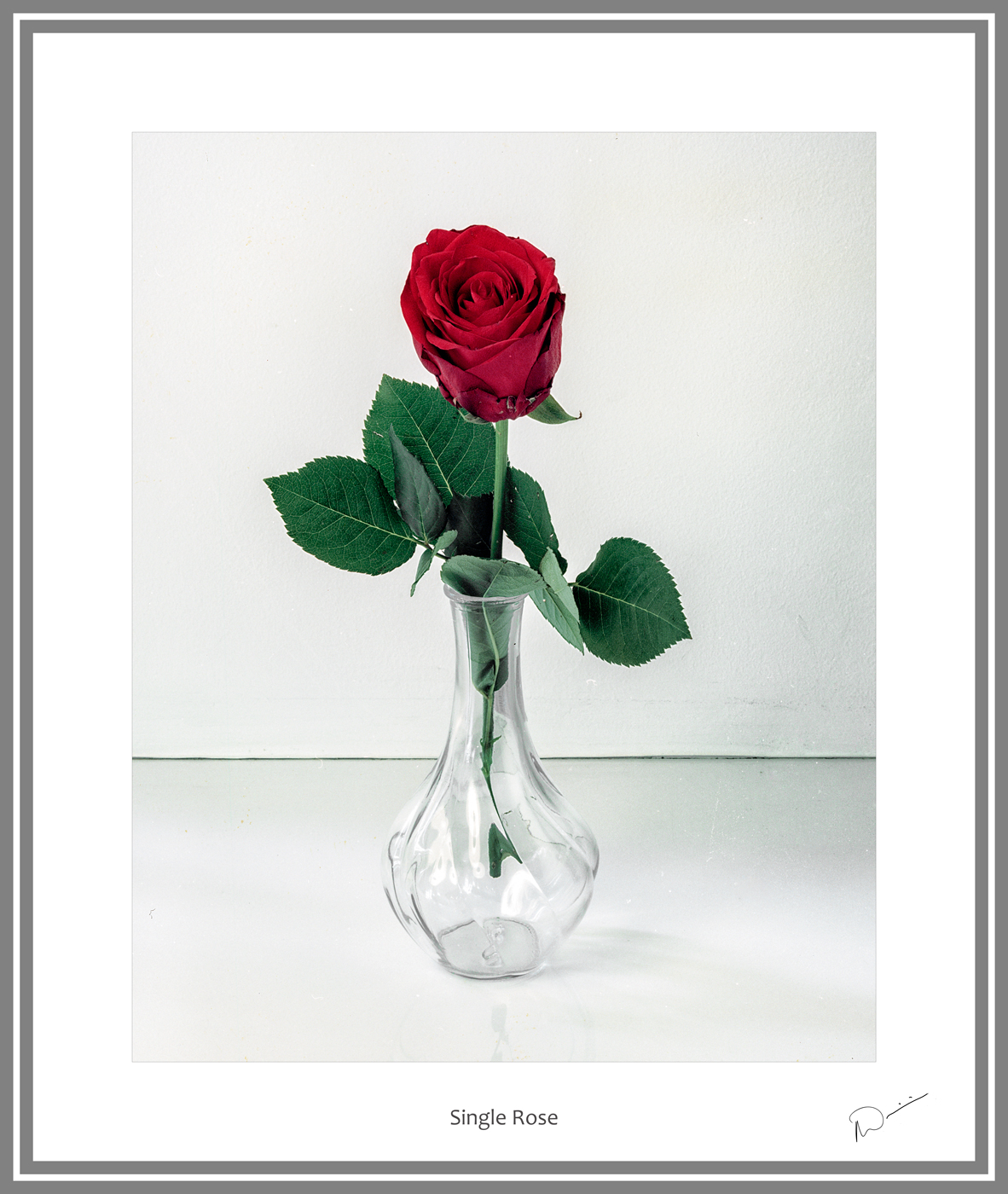 Neil's-Photography073.jpg
