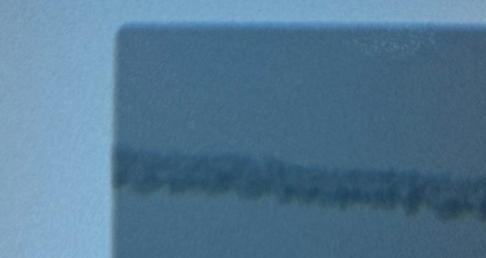 nikanon negative close up.jpg