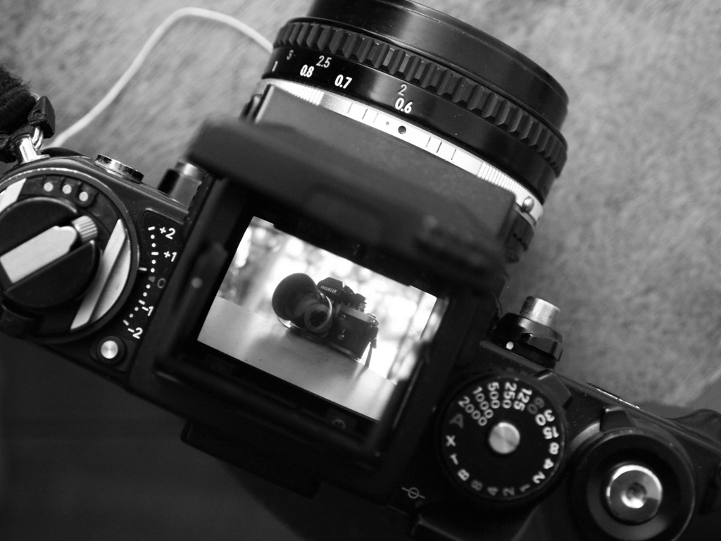 Nikon f3 looking to f2 (2).JPG