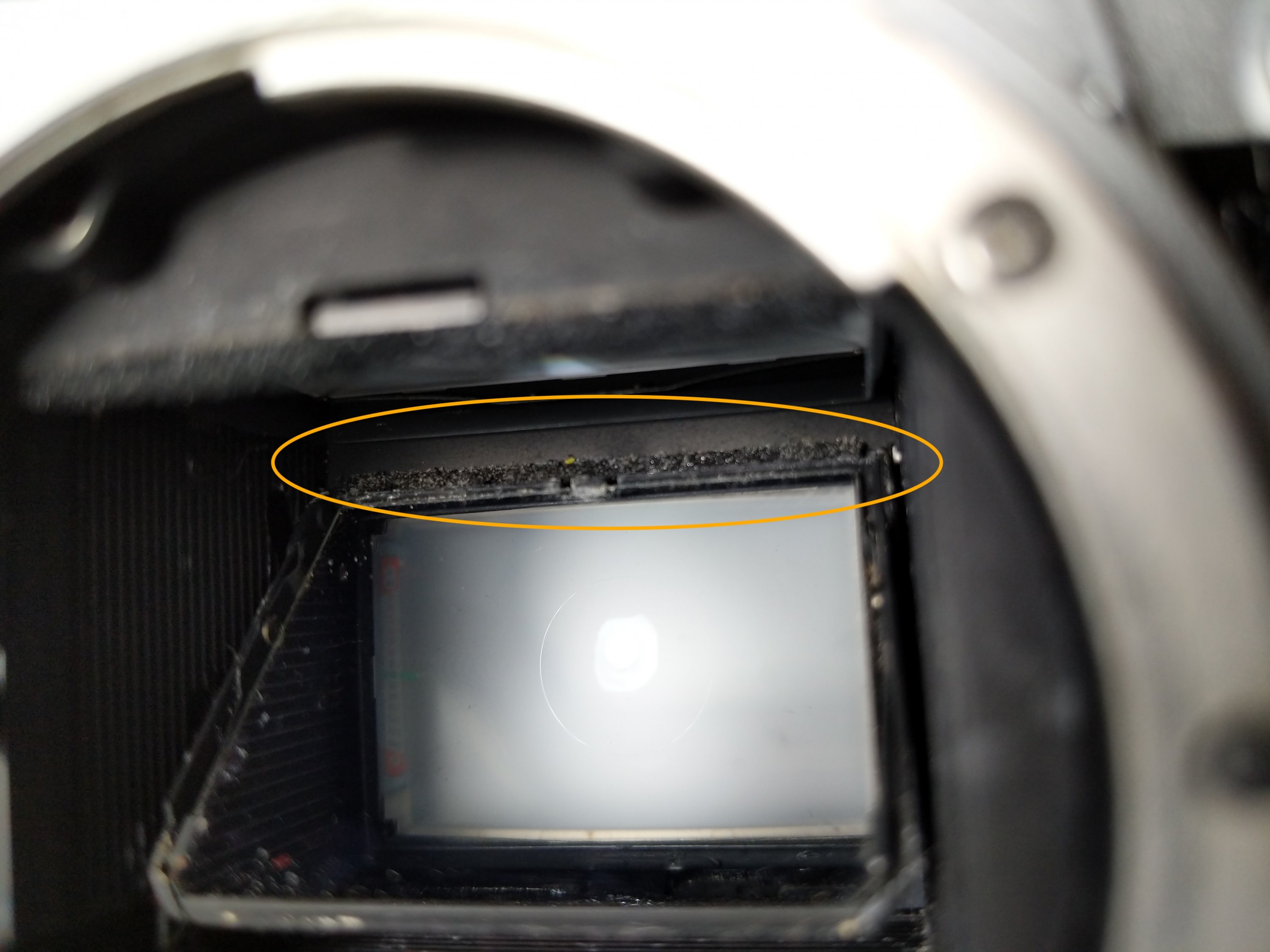 Nikon-FE-foam-behind-mirror.jpg