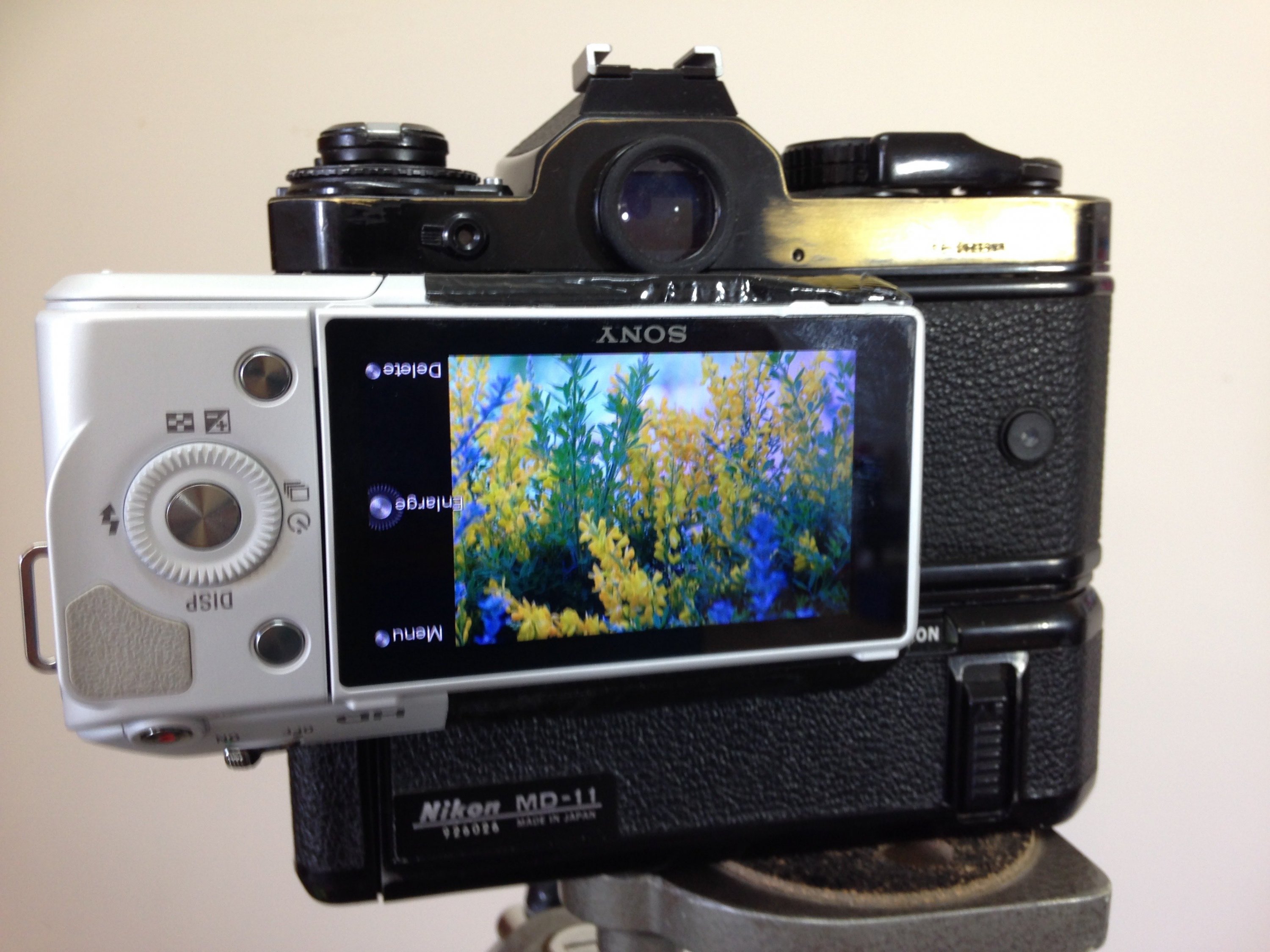 Nikon rear.jpg