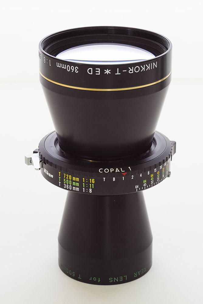 NIKON500720MED-3.jpg