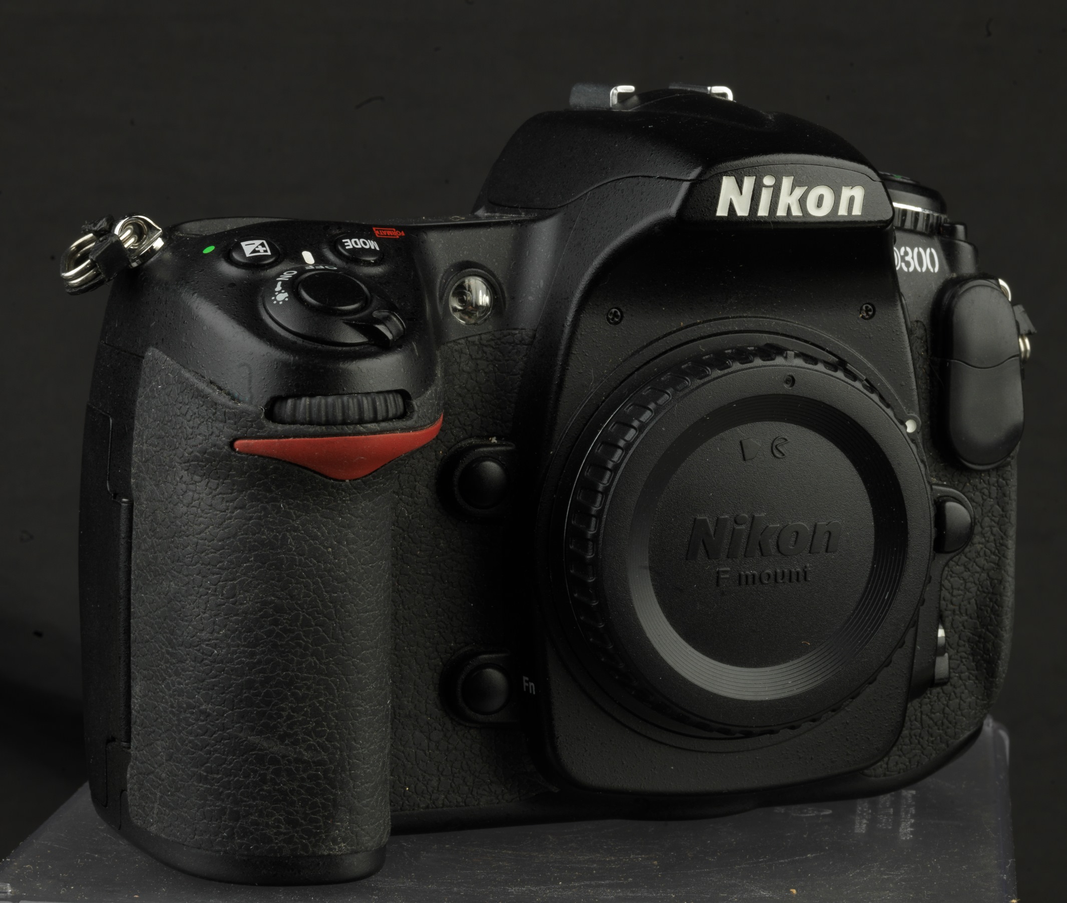 Nikon_0630.jpg