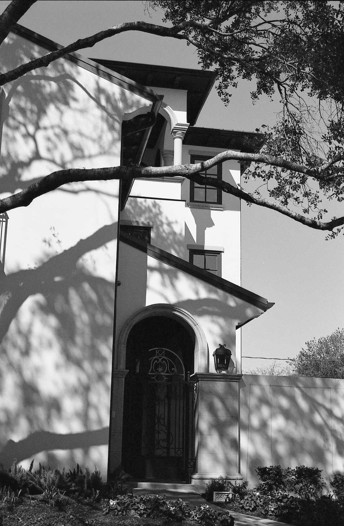 NikonFM2 XP2 Super720 copy.jpg