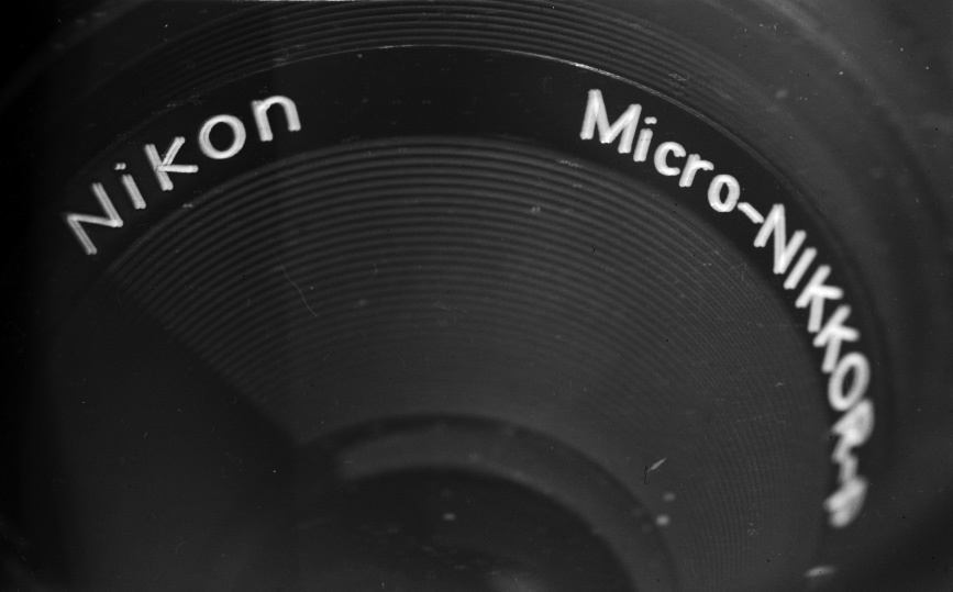 NikonMicroLens Tmy400@400.jpg