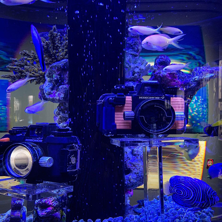 Nikonos aquarium display.jpg