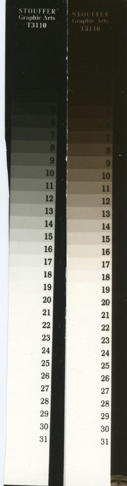 normal and selenium test strip001.jpg