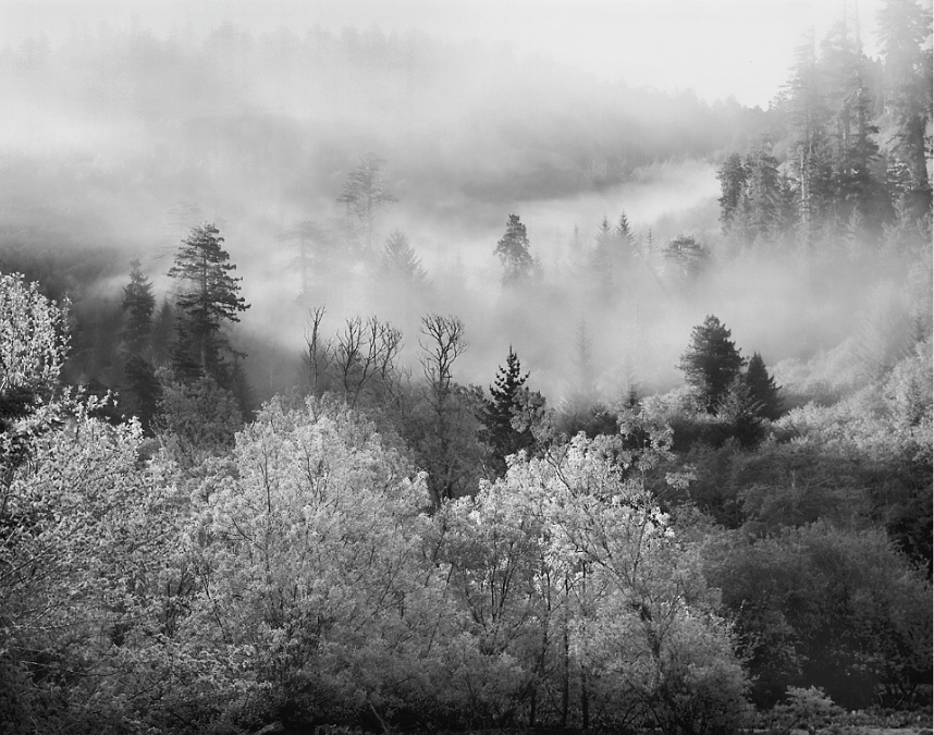 Northern California 7.jpg