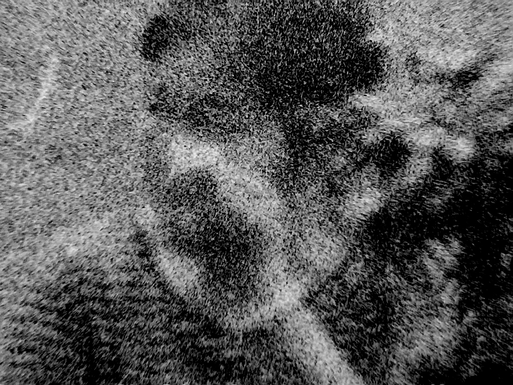 Obj10x + EyeCam Scan 1981.jpg