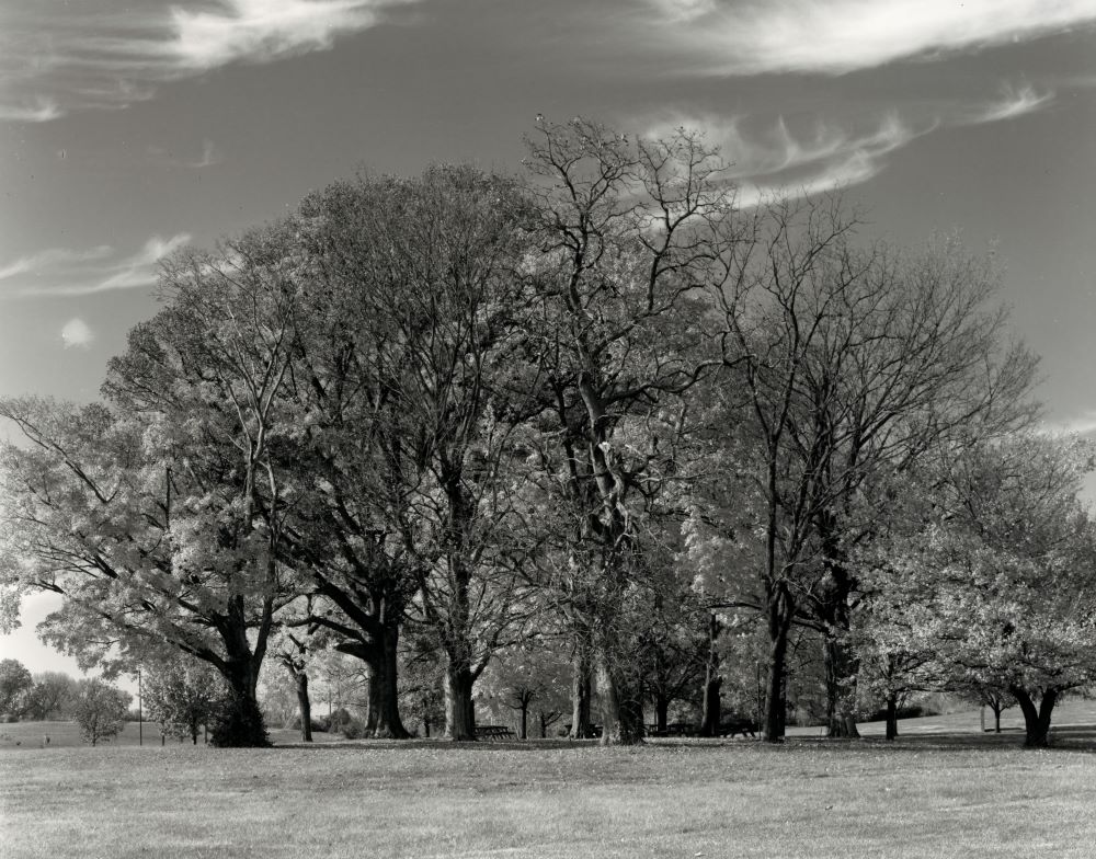 OCC_11-17-07.jpg