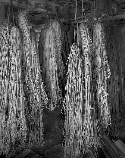Old Barn, Interior 3b 4. 5.jpg