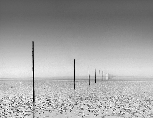 Old Causeway Holy Island England.jpg